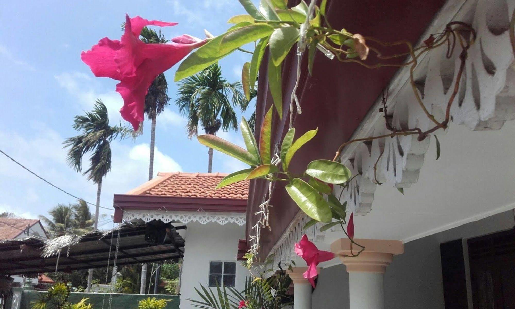Alexandra Family Villa Negombo Bagian luar foto